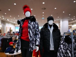 Interesting Details Without The Coupon-clipping In The Saree